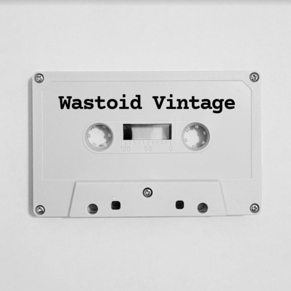 Meet your Posher, WastoidVintage